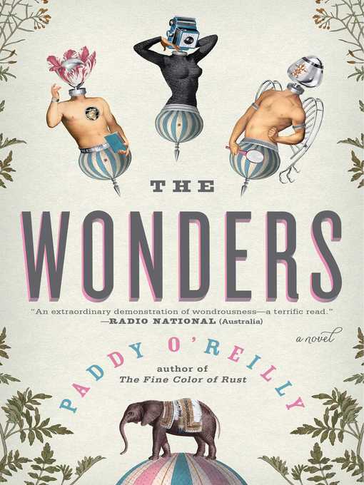 Title details for The Wonders by Paddy O'Reilly - Wait list